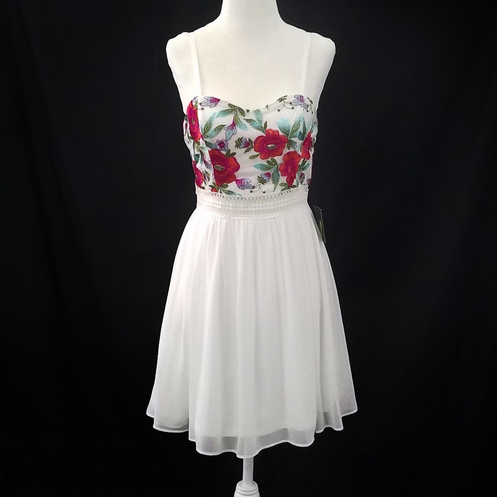 Floral Embroidery and Lace Dress